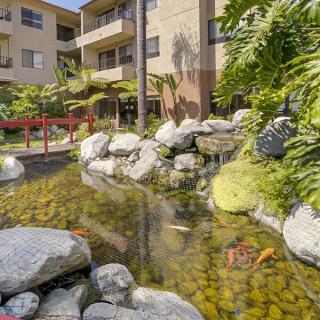 A serene apartment complex courtyard featuring a koi pond surrounded by lush greenery.
