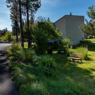 A peaceful park scene featuring a bench surrounded by lush greenery and trees, inviting for a moment of relaxation.