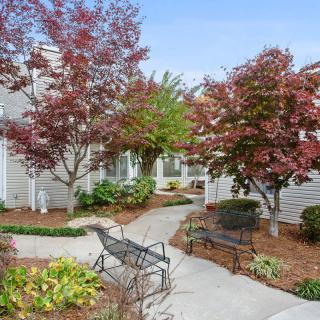A serene garden with pathways and benches surrounded by trees.