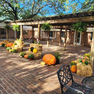 A charming outdoor space adorned with vibrant pumpkins and bales of hay, celebrating the beauty of autumn.