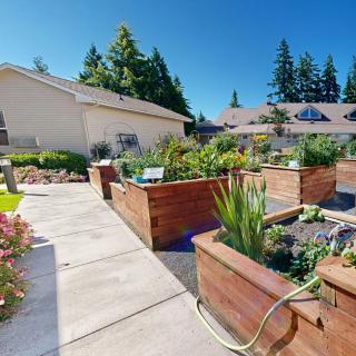 A sunny day in a well-maintained garden with raised beds filled with various plants.
