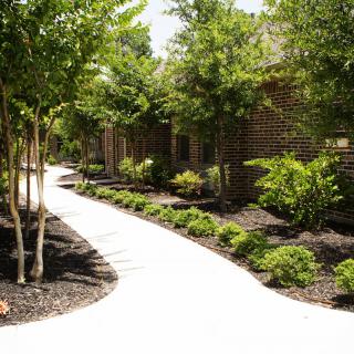A winding pathway lined with trees and shrubs in a landscaped garden.