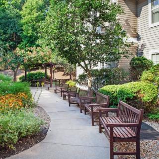 A serene garden pathway lined with wooden benches and lush greenery.