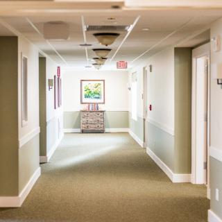 A well-lit hallway with green walls and carpet, featuring several doors and a painting at the end.