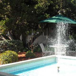 A tranquil garden setting featuring a fountain and an umbrella beside a pool.