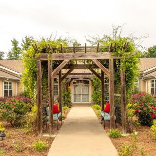 A serene garden pathway with a wooden pergola adorned with greenery.