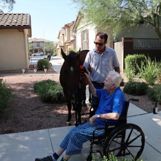 An elderly individual in a wheelchair interacts with a horse, accompanied by a caregiver in an outdoor setting.