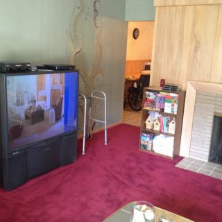 A cozy living room with a large television, red carpet, and a fireplace.