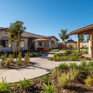 A serene outdoor area featuring houses, a well-maintained garden with a pathway lined by plants and young trees.