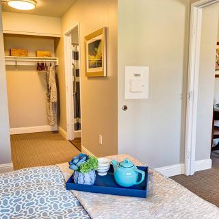 A cozy bedroom with a walk-in closet, featuring a tray with a teapot for added comfort.