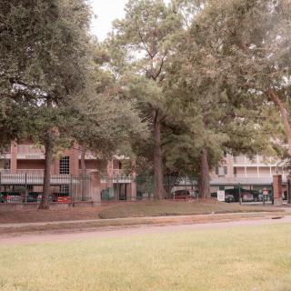 A tranquil park setting with trees and buildings in the background.