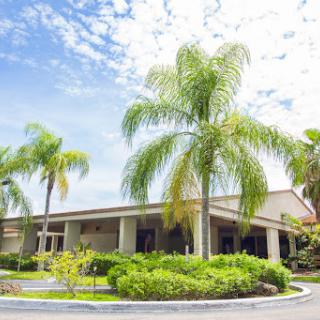 A serene view of a building surrounded by lush palm trees under a blue sky.