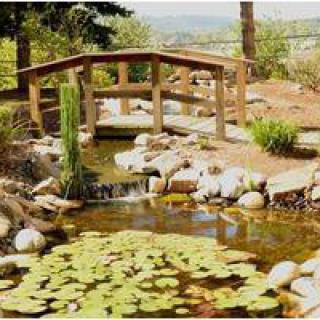 A serene garden pond with a wooden bridge and lilypads.