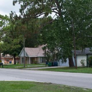 A suburban street with houses nestled among trees.