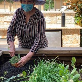 A person wearing a hat and mask is tending to a vegetable garden.