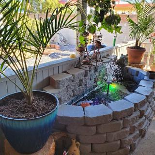 A backyard garden featuring a small pond with a fountain, surrounded by potted plants and a brick wall.