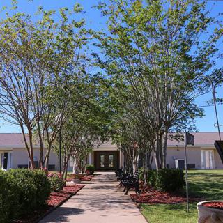 A pathway leads through neatly landscaped trees towards a building under a clear blue sky.