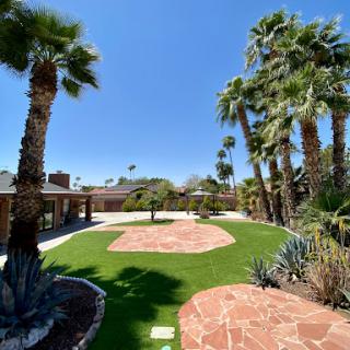 A serene garden featuring palm trees and a beautifully designed stone pathway under a clear blue sky.