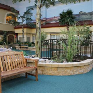 A serene indoor pool area surrounded by tropical plants and a wooden bench for relaxation.