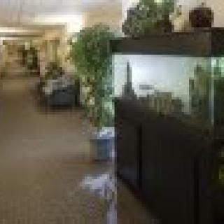 A hallway with an aquarium and indoor plants.