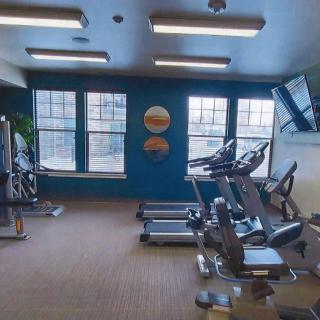 A modern gym with various exercise equipment, including treadmills and stationary bikes, illuminated by natural light from large windows.