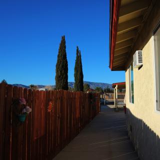 A pathway beside a building, with tall trees and a clear blue sky.