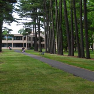 A serene pathway lined with tall trees leading to a building in a lush green park.