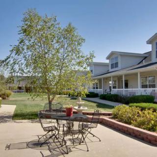 A sunny outdoor patio with a table and chairs, next to a garden and house.