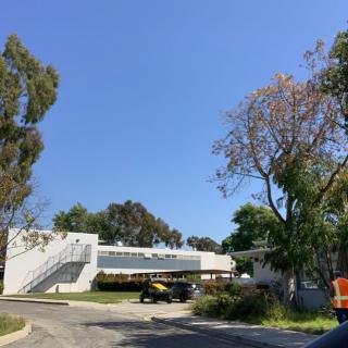 A modern building surrounded by trees under a clear blue sky.
