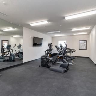 A modern gym with treadmills and elliptical machines lined up against mirrored walls.
