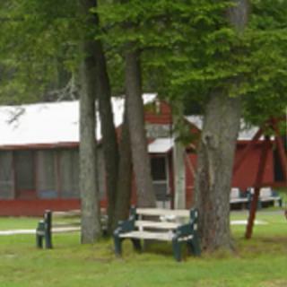 A peaceful outdoor scene with a bench near trees and a cabin.