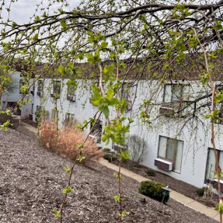 A view of an apartment building surrounded by emerging spring foliage.