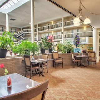 A cozy indoor dining area with abundant natural light and lush greenery.