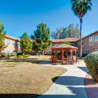 A sunny courtyard with a gazebo and surrounding buildings, featuring trees and a single tall palm tree.