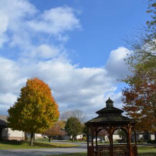 A beautiful autumn scene featuring a gazebo surrounded by colorful trees under a bright blue sky.