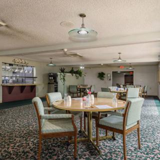 A cozy dining area with tables and chairs arranged on a patterned carpet, complemented by indoor plants and warm lighting.