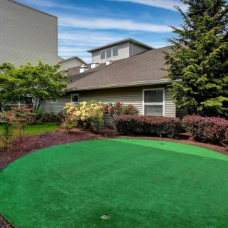 A suburban backyard featuring a well-maintained putting green surrounded by lush landscaping and a house in the background.
