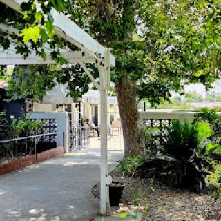 A serene pathway framed by lush greenery and trees, inviting visitors to explore.