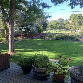 A serene backyard view with a deck, potted plants, and a lush green lawn surrounded by trees.
