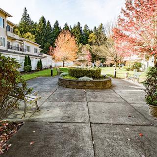 A tranquil garden pathway lined with benches and autumn foliage.