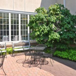 A patio with metal furniture surrounded by greenery and large windows.