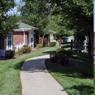 A scenic pathway flanked by houses and lush greenery in a residential neighborhood.