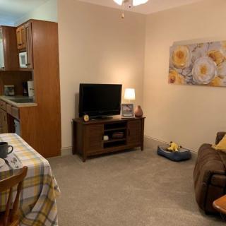 Cozy living room with integrated kitchen and dining area, featuring a television, sofa, and decorative wall art.