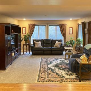 A cozy living room with a sofa, carpet, and bookshelf, featuring large windows and decorative plants.