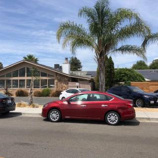 A suburban street with a red car parked in front of a house with a palm tree.
