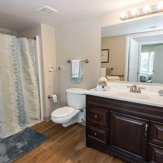 A modern bathroom with a wooden floor, featuring a shower with a curtain, sink with dark wood cabinetry, and a large mirror.