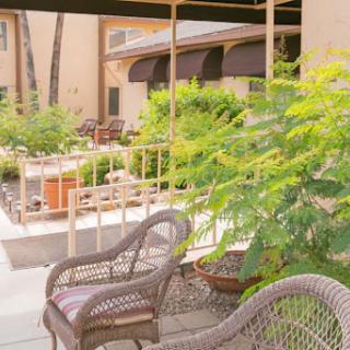 A tranquil outdoor seating area surrounded by lush greenery, perfect for relaxation.