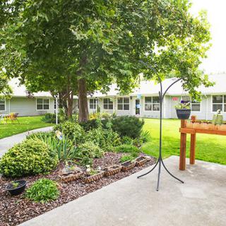A serene courtyard garden with a pathway, lush greenery, and a variety of plants surrounding the area.