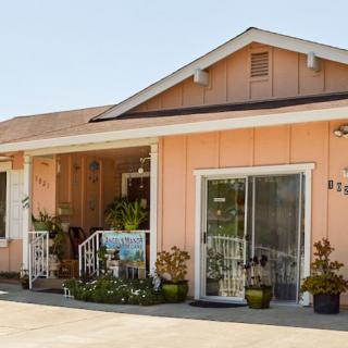 A quaint house with a porch and potted plants in the front yard.