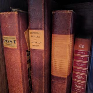 A collection of vintage leather-bound books on a shelf.